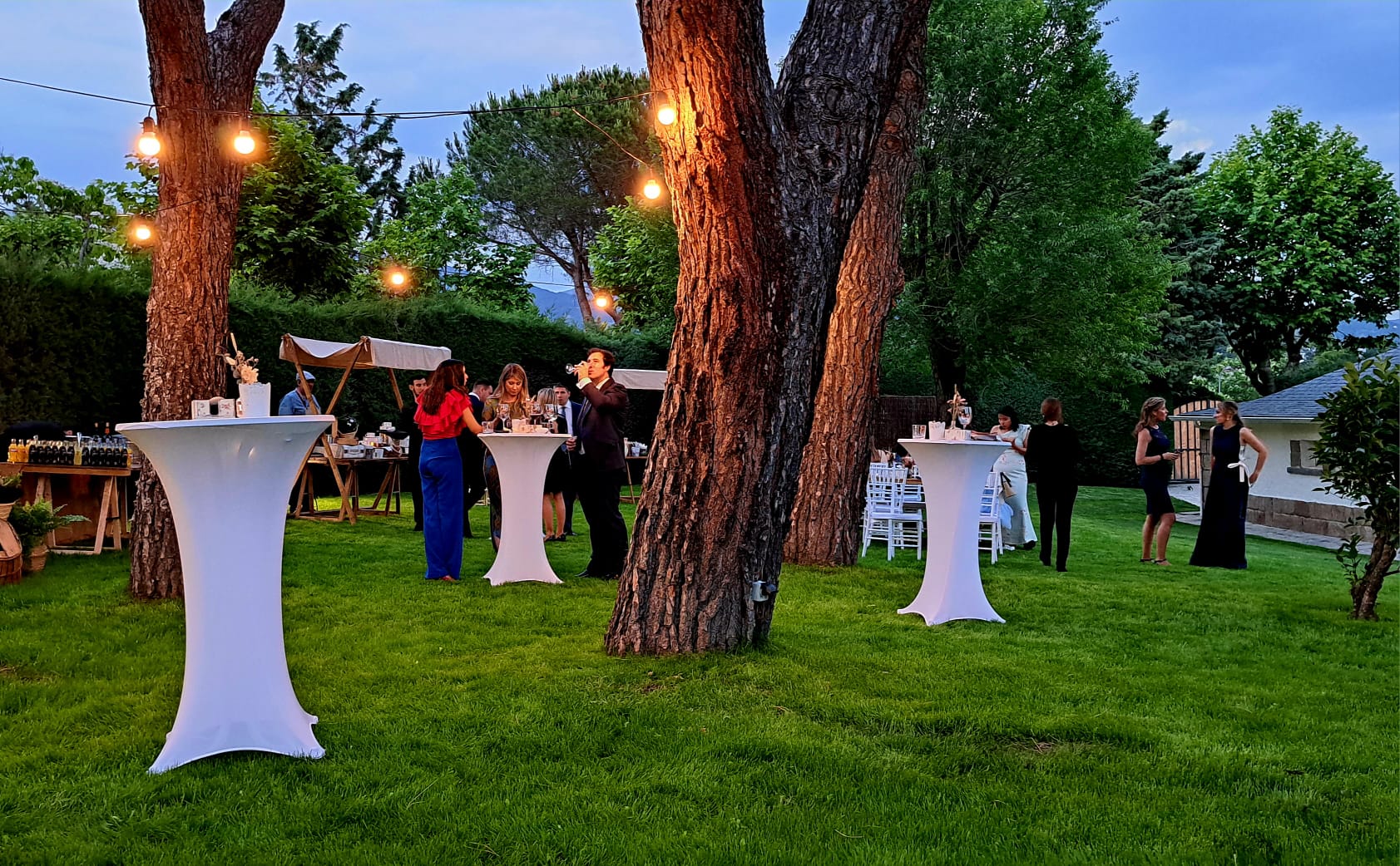 15ed602f-e5b0-41e1-b754-a8fe53423e32