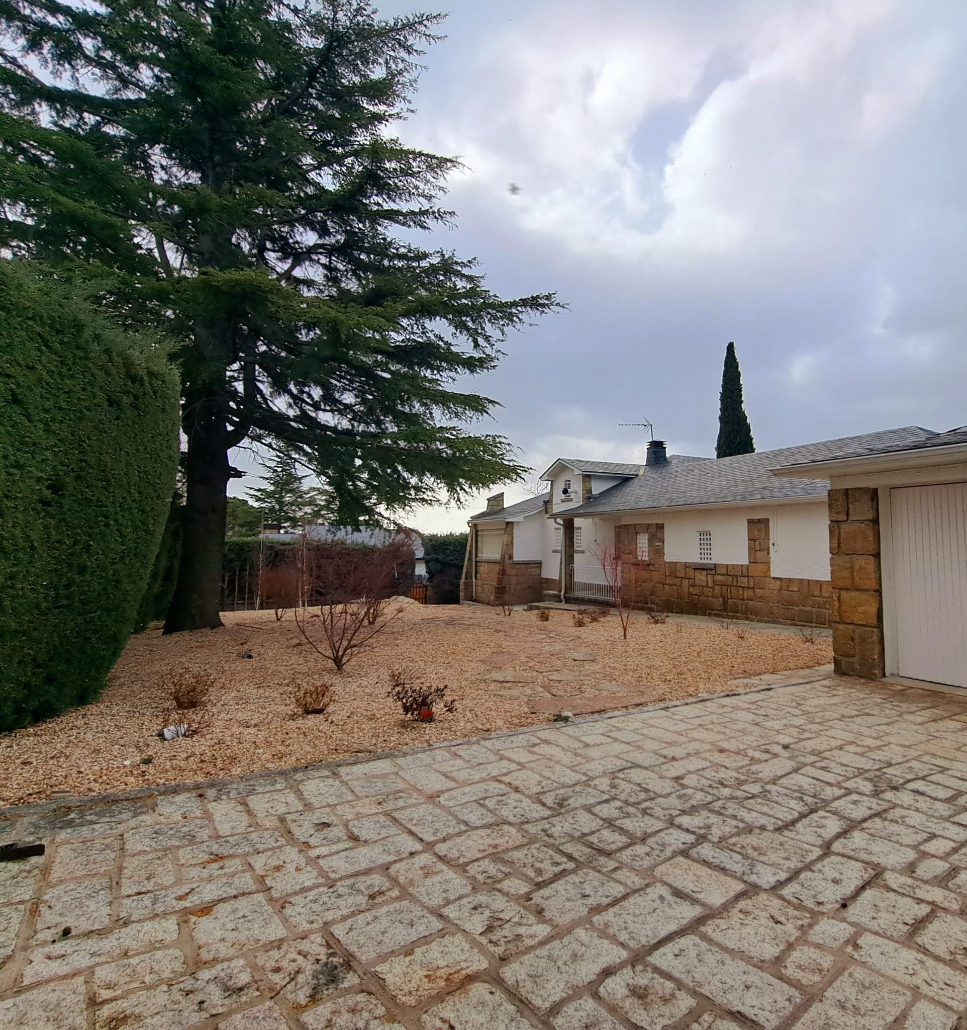 PHOTO-2023-02-27-13-01-39-1